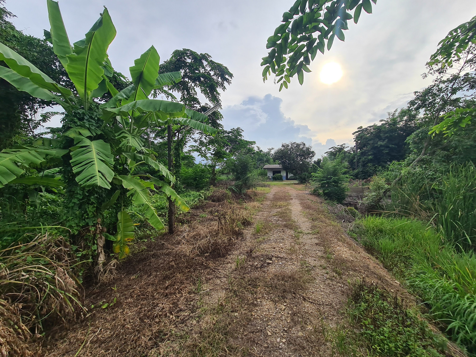 Land for sale in Nong Suea, 40 rai, opposite Nopparat Subdistrict Administrative Organization. – รูปที่ 3