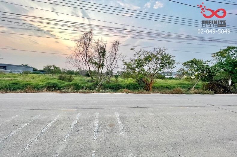 ขายที่ดิน 4 ไร่ 3 งาน สามโคก ปทุมธานี เลียบคลองบางโพธิ์เหนือ ถนนเทศบาล 6 – รูปที่ 3