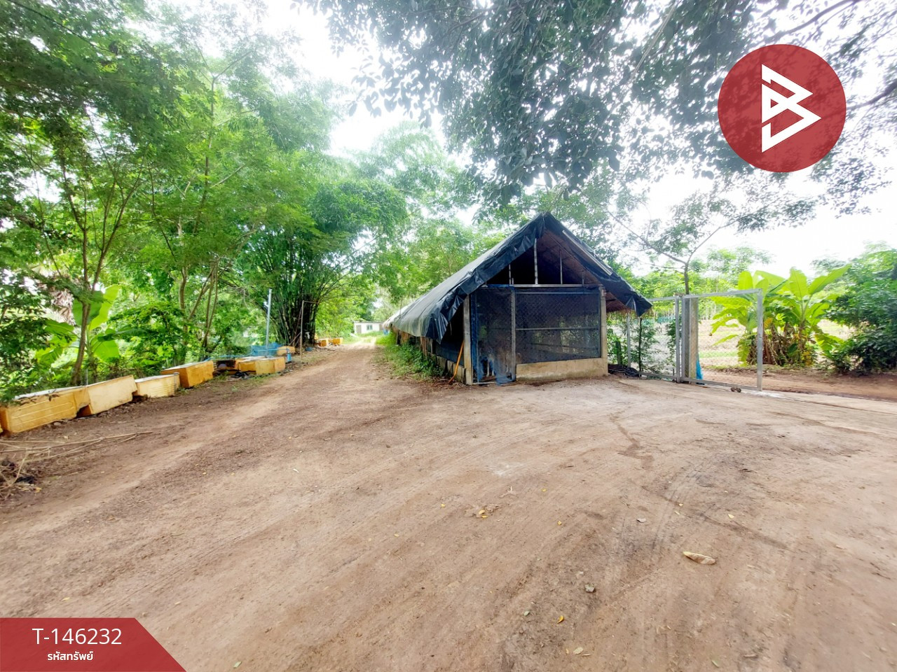 ขายที่ดินพร้อมบ้านสวน เนื้อที่ 15 ไร่ 71.2 ตร.วา โพธิ์ตาก หนองคาย ทำเลดีติดถนน – รูปที่ 3