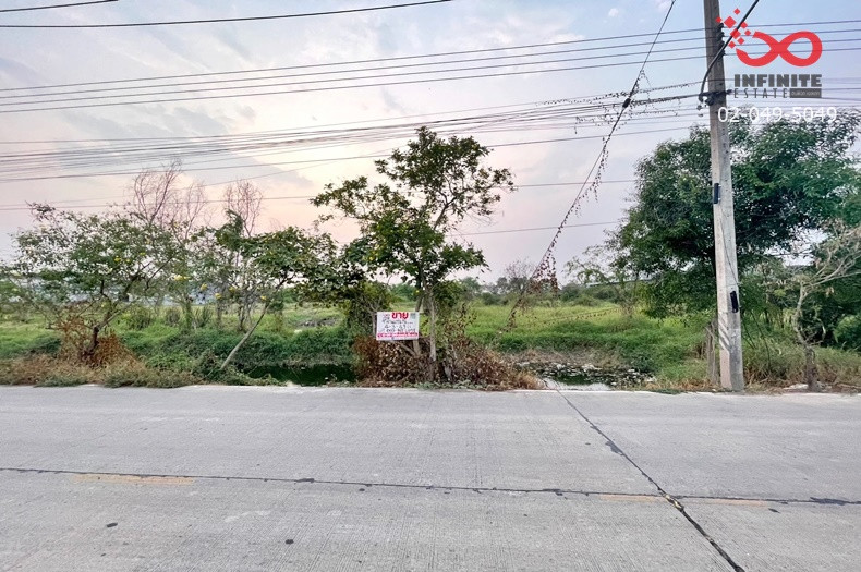 ขายที่ดิน 4 ไร่ 3 งาน สามโคก ปทุมธานี เลียบคลองบางโพธิ์เหนือ ถนนเทศบาล 6 – รูปที่ 2