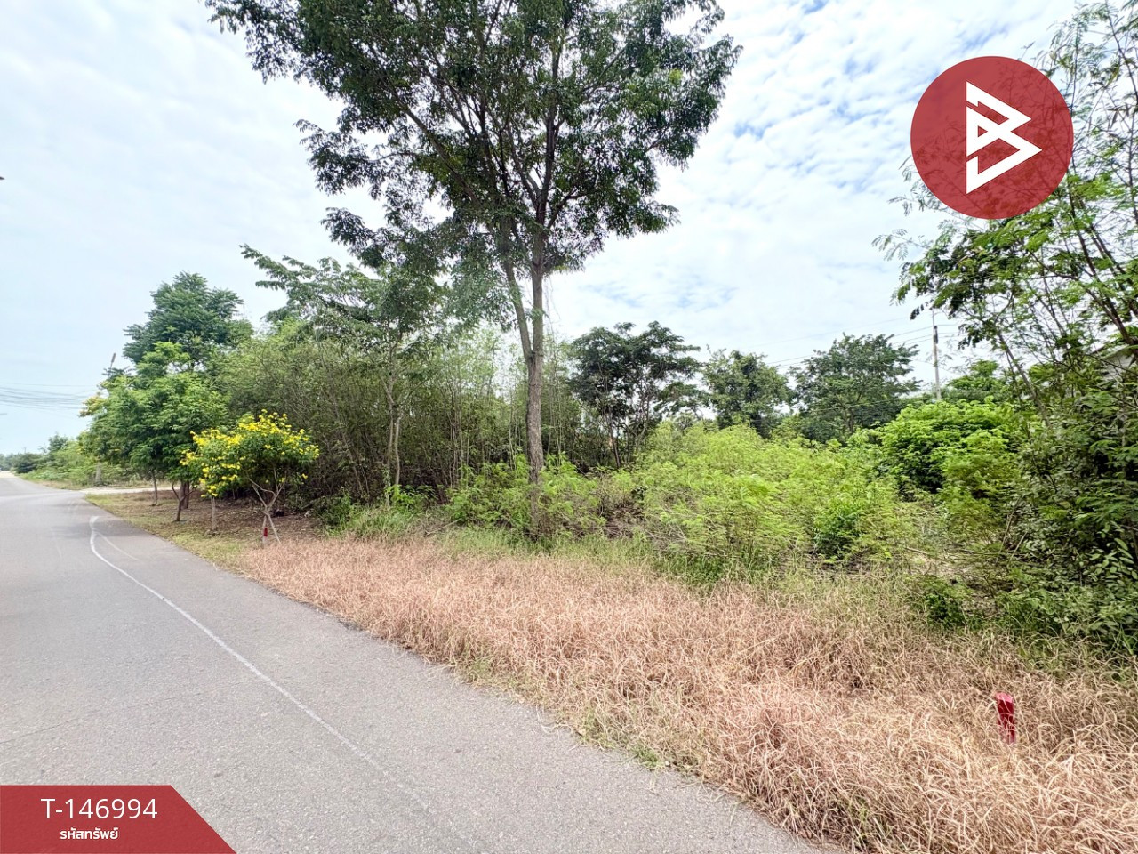 ขายที่ดินเปล่า เนื้อที่ 50 ตร.วา หมู่บ้านแม่ศรีเมืองทองตาคลีแลนด์ นครสวรรค์ – รูปที่ 2