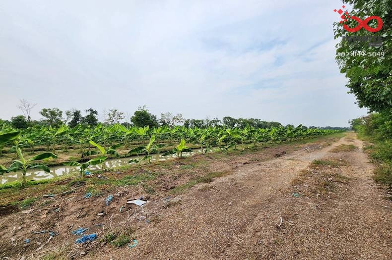 Land for sale, 44 rai, along Klong 11 Road, Nong Suea, Pathum Thani. – รูปที่ 4