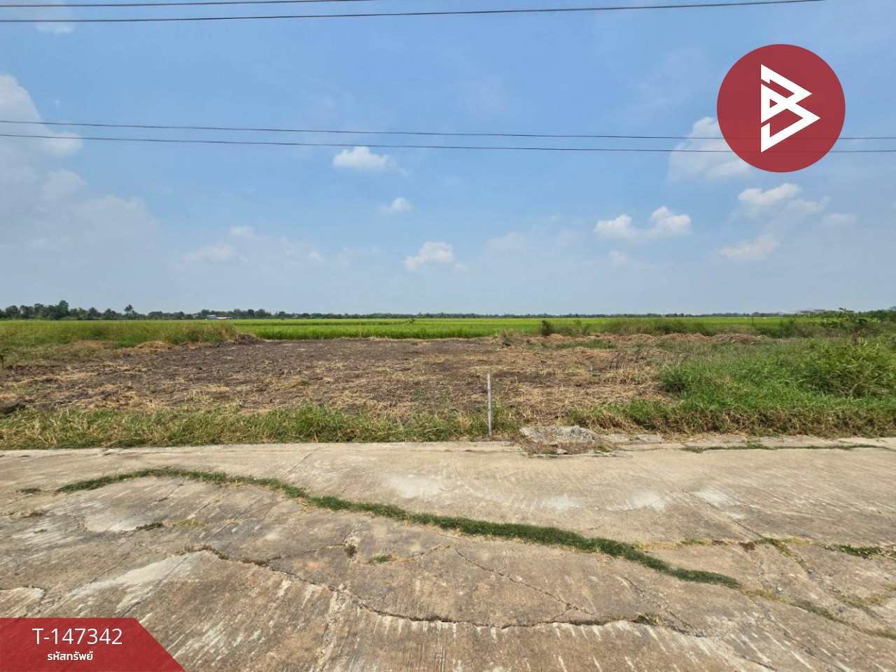 ขายที่ดิน เนื้อที่ 80 ตร.วา คลองหลวง ปทุมธานี – รูปที่ 4