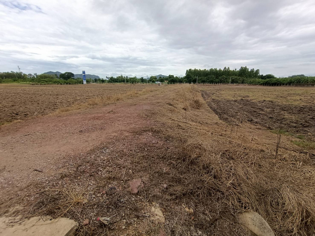 Land for sale in Ban Nong Rai, Village No. 1, area 17 rai 1 ngan 5 square wah, Thung Luang Subdistrict, Ratchaburi Province. – รูปที่ 3