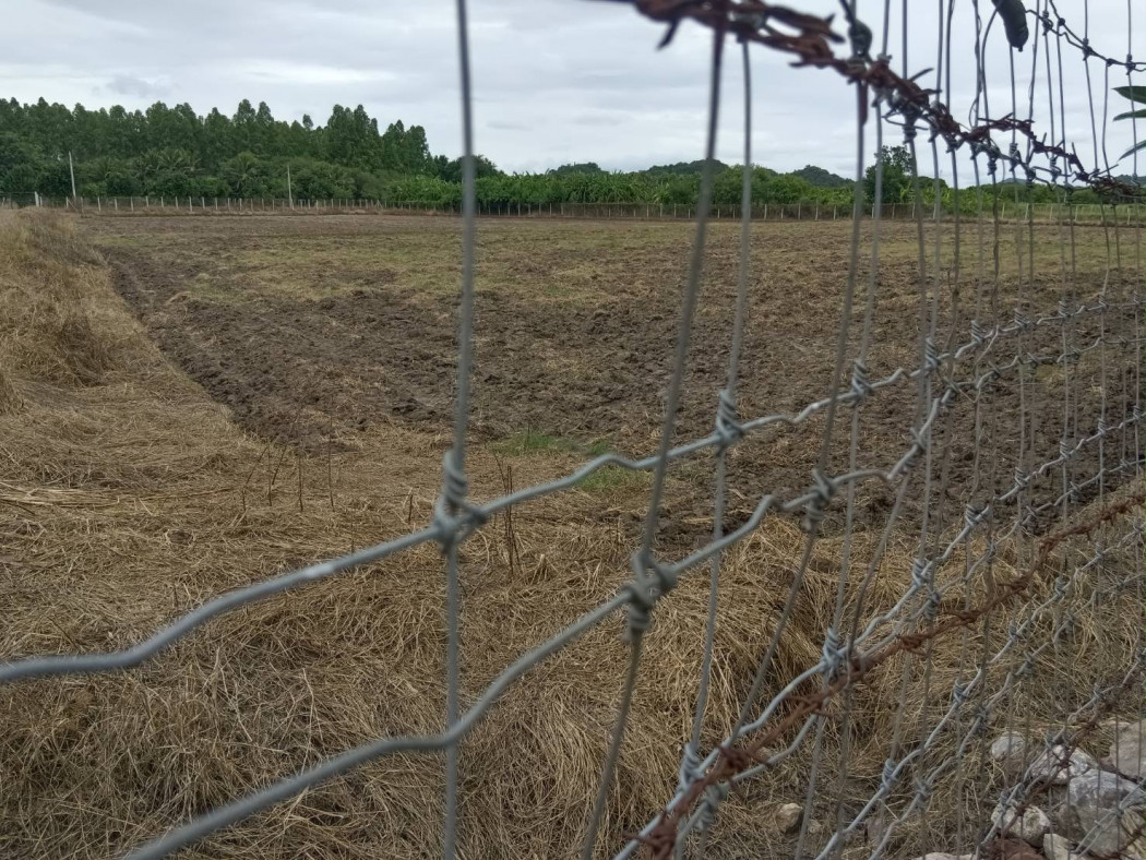 Land for sale in Ban Nong Rai, Village No. 1, area 17 rai 1 ngan 5 square wah, Thung Luang Subdistrict, Ratchaburi Province. – รูปที่ 4