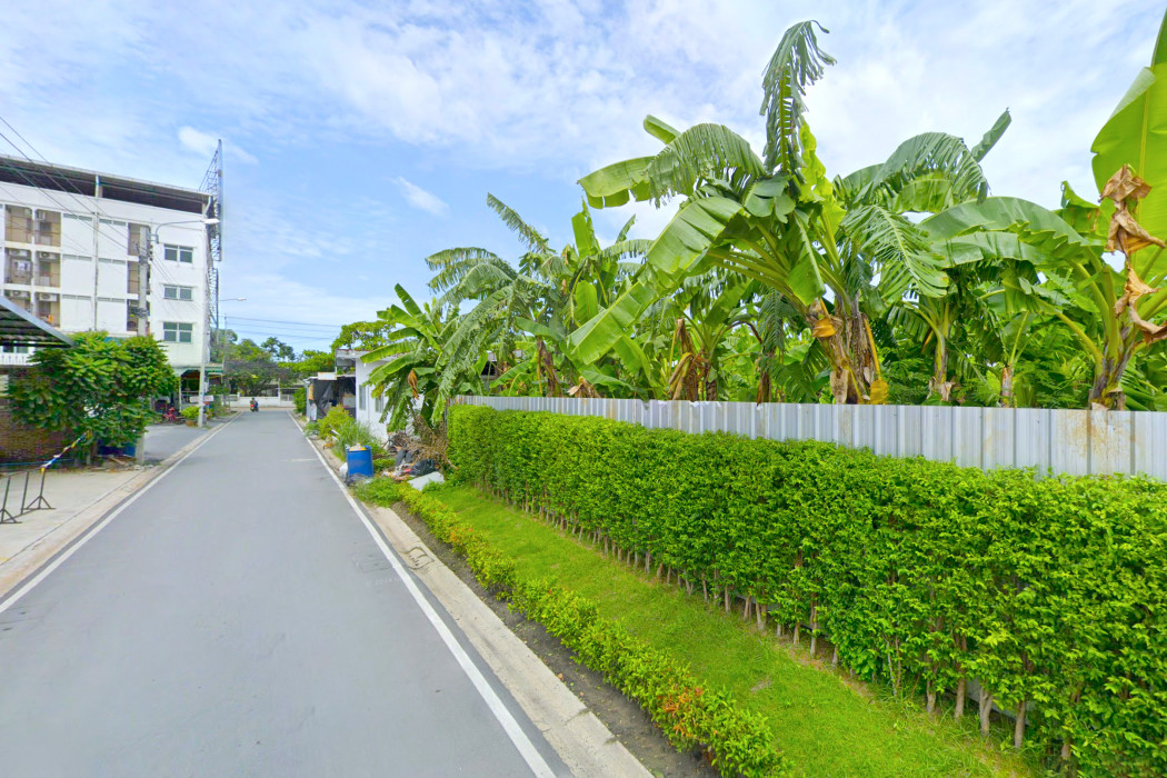 ขาย ที่ดิน ซ.แบริ่ง 31-1 ขนาด 218 ตรว ใกล้ถนนแบริ่ง เพียง 40 เมตร KK