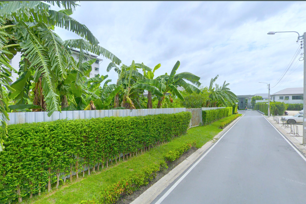 ขาย ที่ดิน ซ.แบริ่ง 31-1 ขนาด 218 ตรว ใกล้ถนนแบริ่ง เพียง 40 เมตร KK – รูปที่ 3