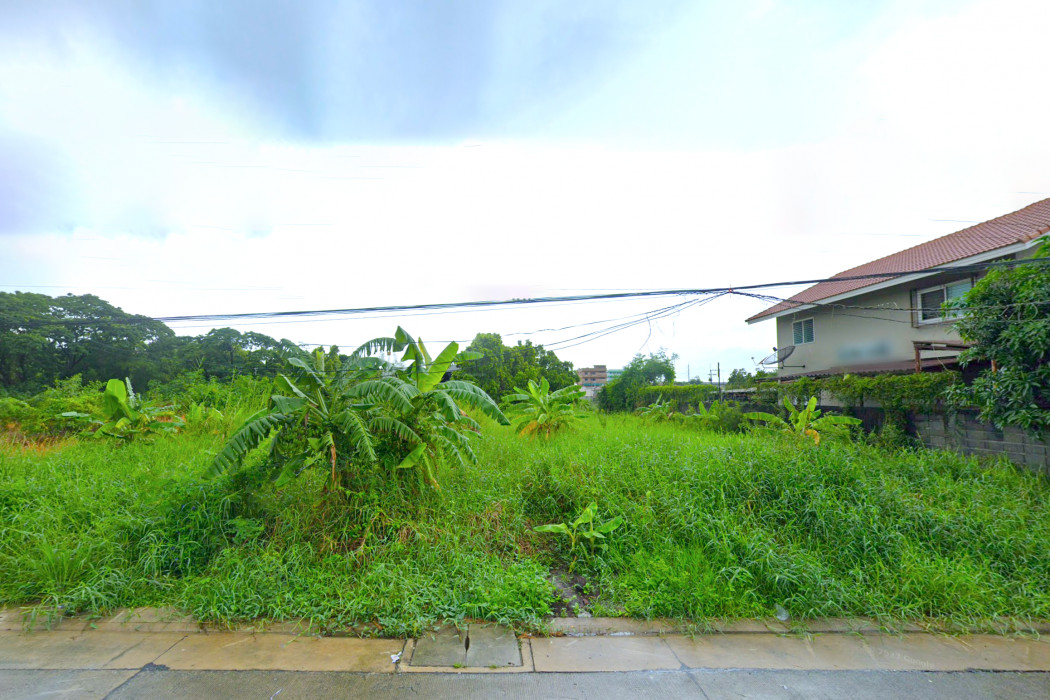 ขาย ที่ดิน ทำเลดี ลำลูกกา 19-3 ขนาด 251 ตรว ใกล้ ถนนลำลูกกาแค่ 350 ม. KK – รูปที่ 3