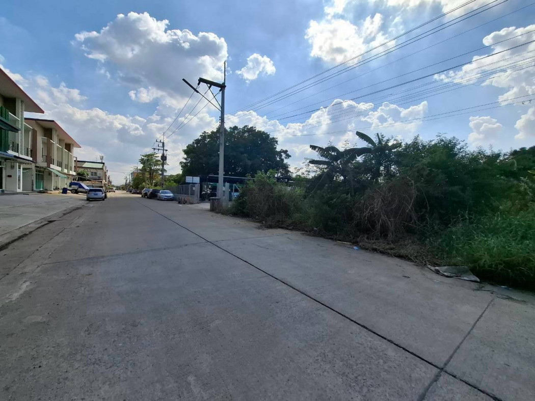 ขาย ที่ดิน ทำเลดี ลำลูกกา 19-3 ขนาด 251 ตรว ใกล้ ถนนลำลูกกาแค่ 350 ม. KK