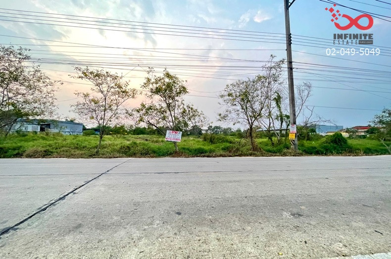ขายที่ดิน 4 ไร่ 3 งาน สามโคก ปทุมธานี เลียบคลองบางโพธิ์เหนือ ถนนเทศบาล 6 – รูปที่ 4