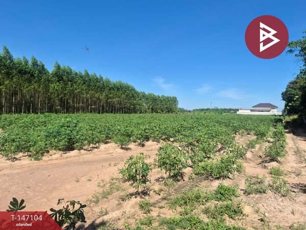 Land for sale, area 3 rai 71.3 square wah, Phanat Nikhom, Chonburi.