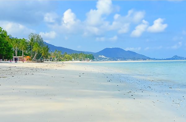 ที่ดินติดทะเล 6 ไร่ เกาะสมุย ใกล้หาดละไม 10 นาที