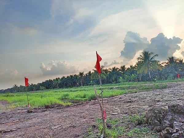 : August land for sale - lowest price, good value at Khlong 11, Nong Suea at Khlong 11, Nong Suea, Pathum Thani T.062-1574449 – รูปที่ 2