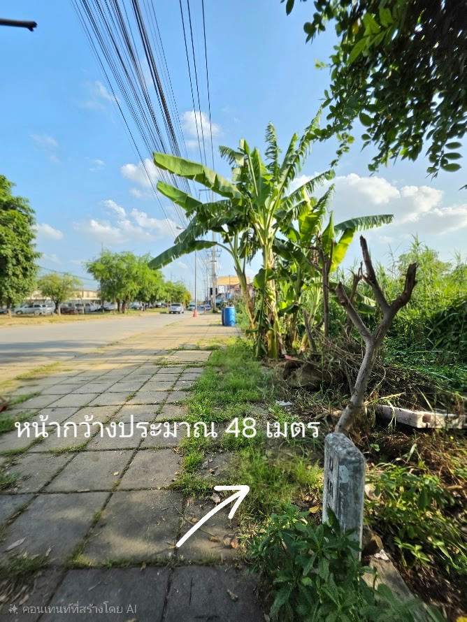ขายที่ดินปทุมธานี อำเภอเมือง แปลงมุม 1-2-80 ไร่ ถนนปทุมธานีสายใน – รูปที่ 4