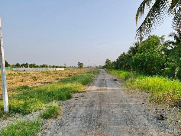 : August land for sale - lowest price, good value at Khlong 11, Nong Suea at Khlong 11, Nong Suea, Pathum Thani T.062-1574449 – รูปที่ 3