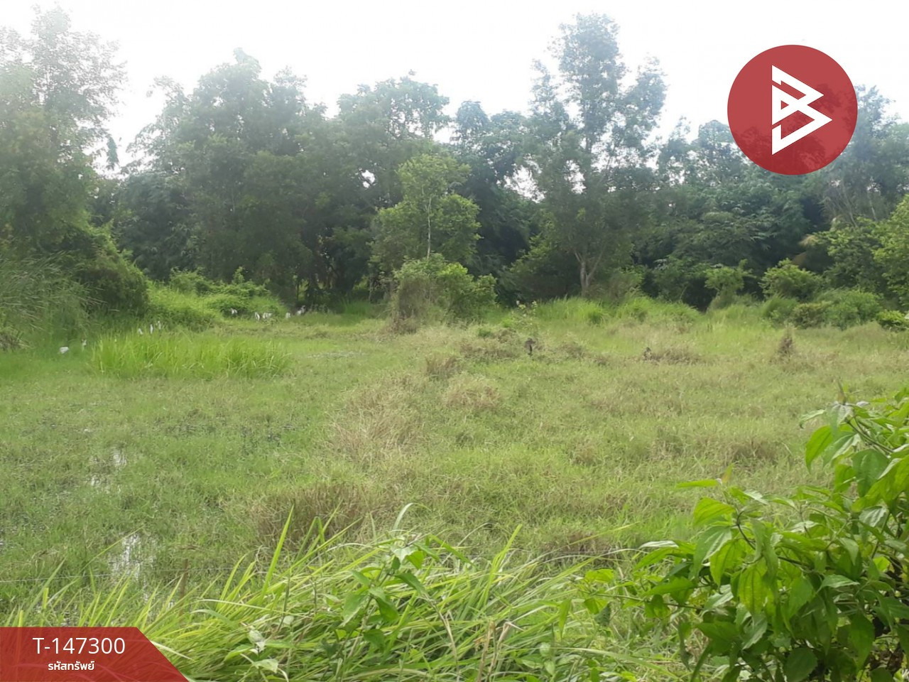 ขายที่ดิน เนื้อที่ 87 ตร.วา อยู่วิทยา ซอย 11 หนองจอก กรุงเทพฯ – รูปที่ 2