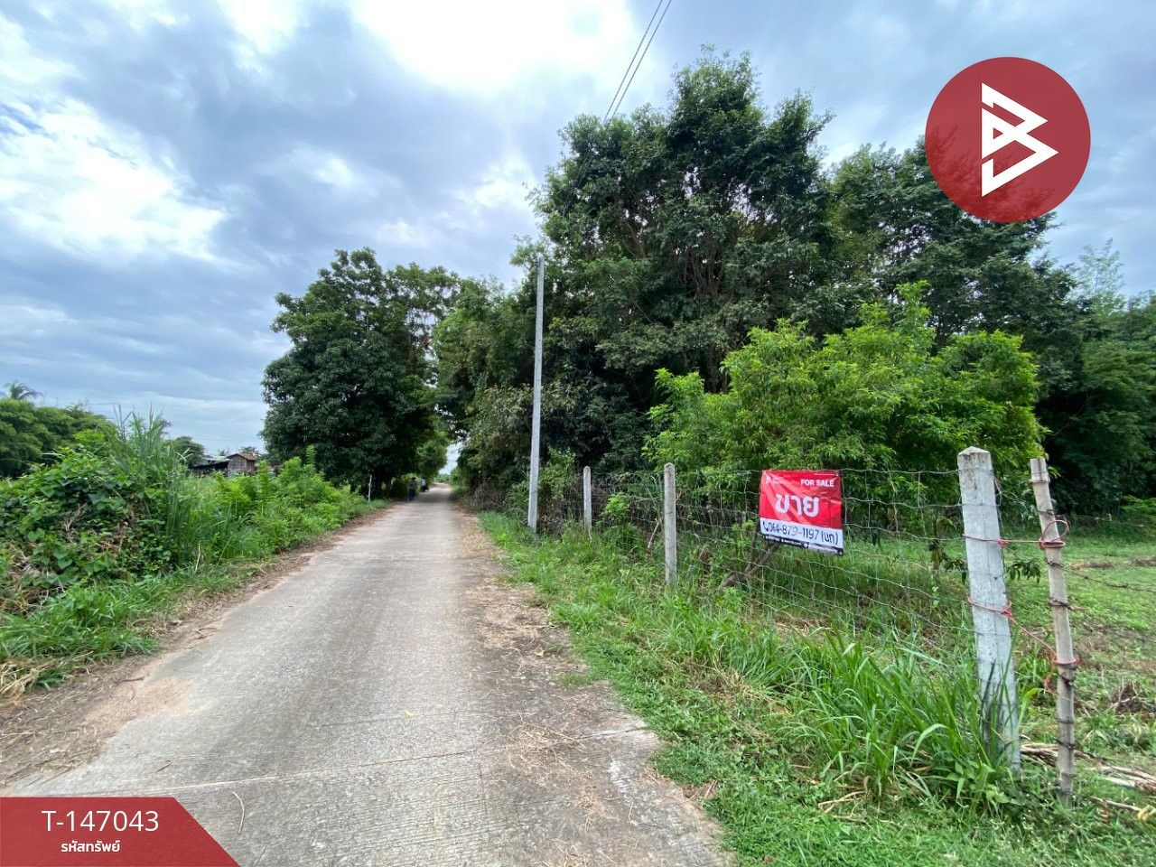 Beautiful land for sale, mixed fruit orchard, area 1 rai 1 ngan 10 sq m, Chiang Yuen, Maha Sarakham. – รูปที่ 2