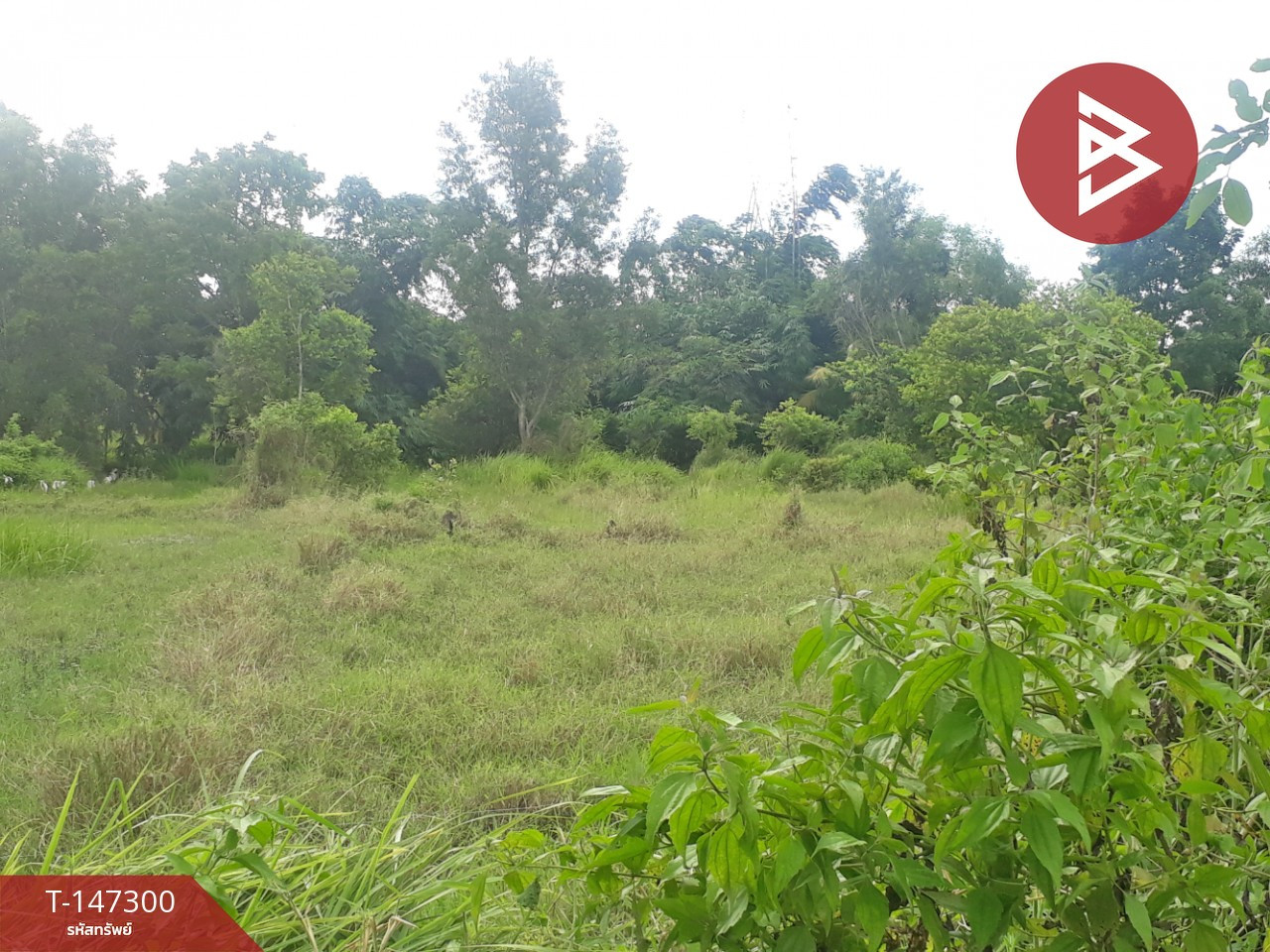 ขายที่ดิน เนื้อที่ 87 ตร.วา อยู่วิทยา ซอย 11 หนองจอก กรุงเทพฯ – รูปที่ 4