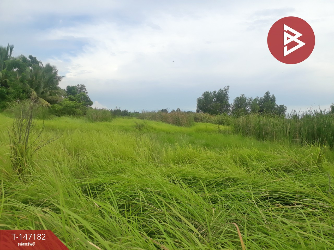 ขายด่วนที่ดิน เนื้อที่ 87 ตร.วา อยู่วิทยา 11 หนองจอก กรุงเทพฯ – รูปที่ 3