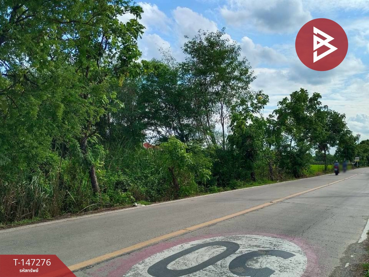 ขายที่ดินสวย 2 แปลง เนื้อที่รวม 11 ไร่ 62 ตร.วา ซอยเทศบาล 25 นนทบุรี ทำเลทองบางใหญ่-บางแม่นาง – รูปที่ 2