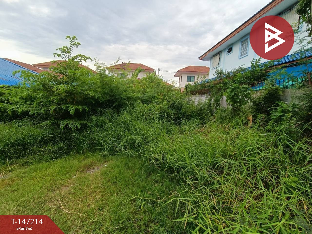 ขายที่ดิน เนื้อที่ 50 ตร.วา ซอยลำโพ บางบัวทอง นนทบุรี ทำเลทอง – รูปที่ 4