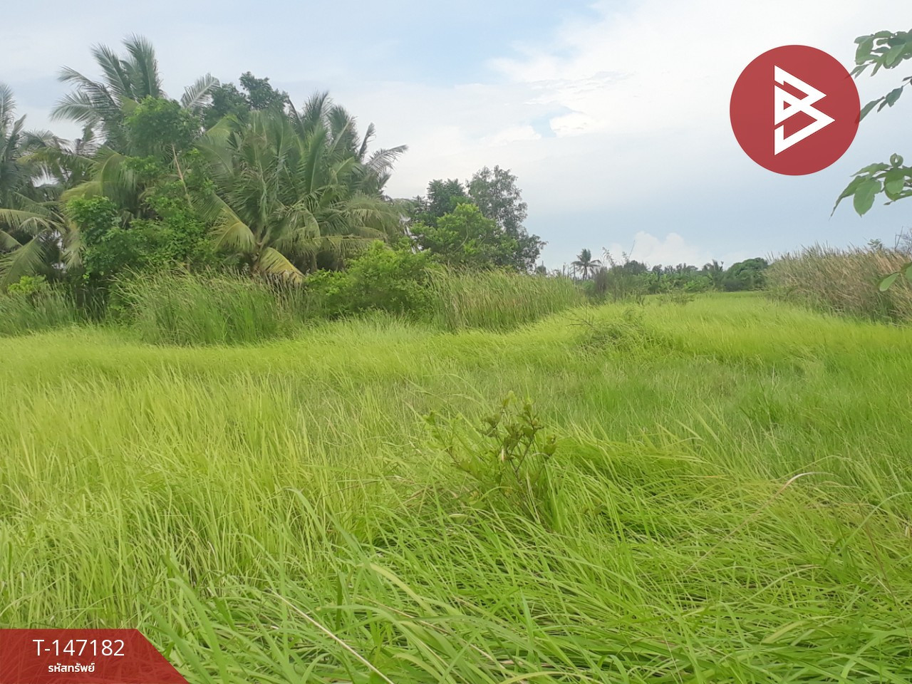 ขายด่วนที่ดิน เนื้อที่ 87 ตร.วา อยู่วิทยา 11 หนองจอก กรุงเทพฯ – รูปที่ 2