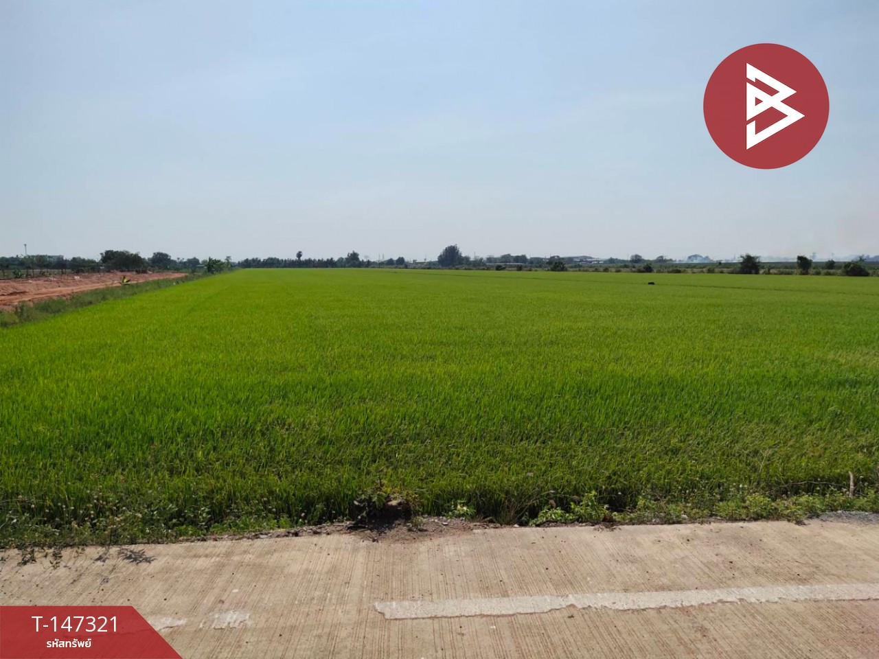 ขายที่ดิน เนื้อที่ 13 ไร่ 9 ตารางวา ไทรน้อย นนทบุรี – รูปที่ 4
