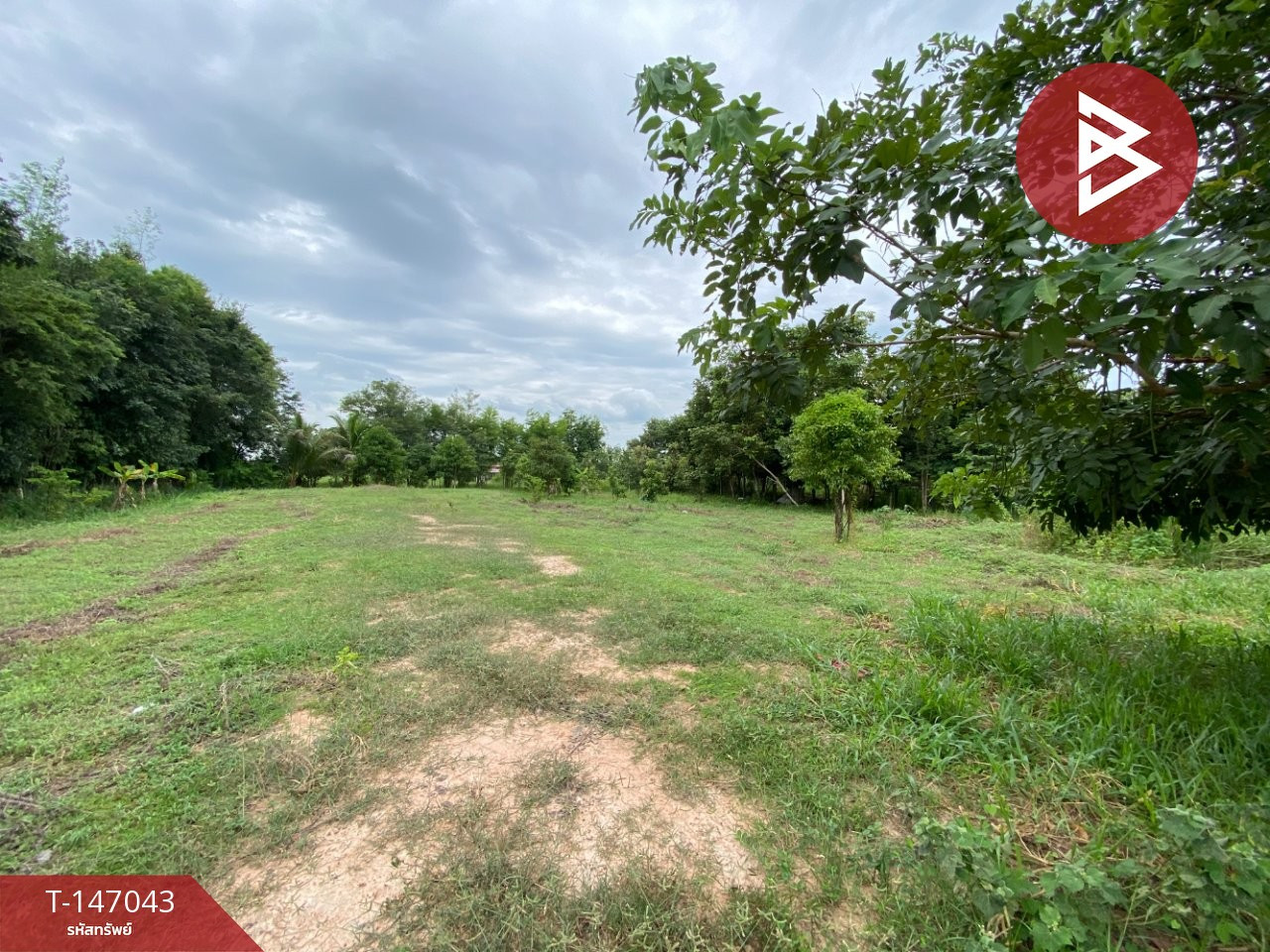 Beautiful land for sale, mixed fruit orchard, area 1 rai 1 ngan 10 sq m, Chiang Yuen, Maha Sarakham. – รูปที่ 3