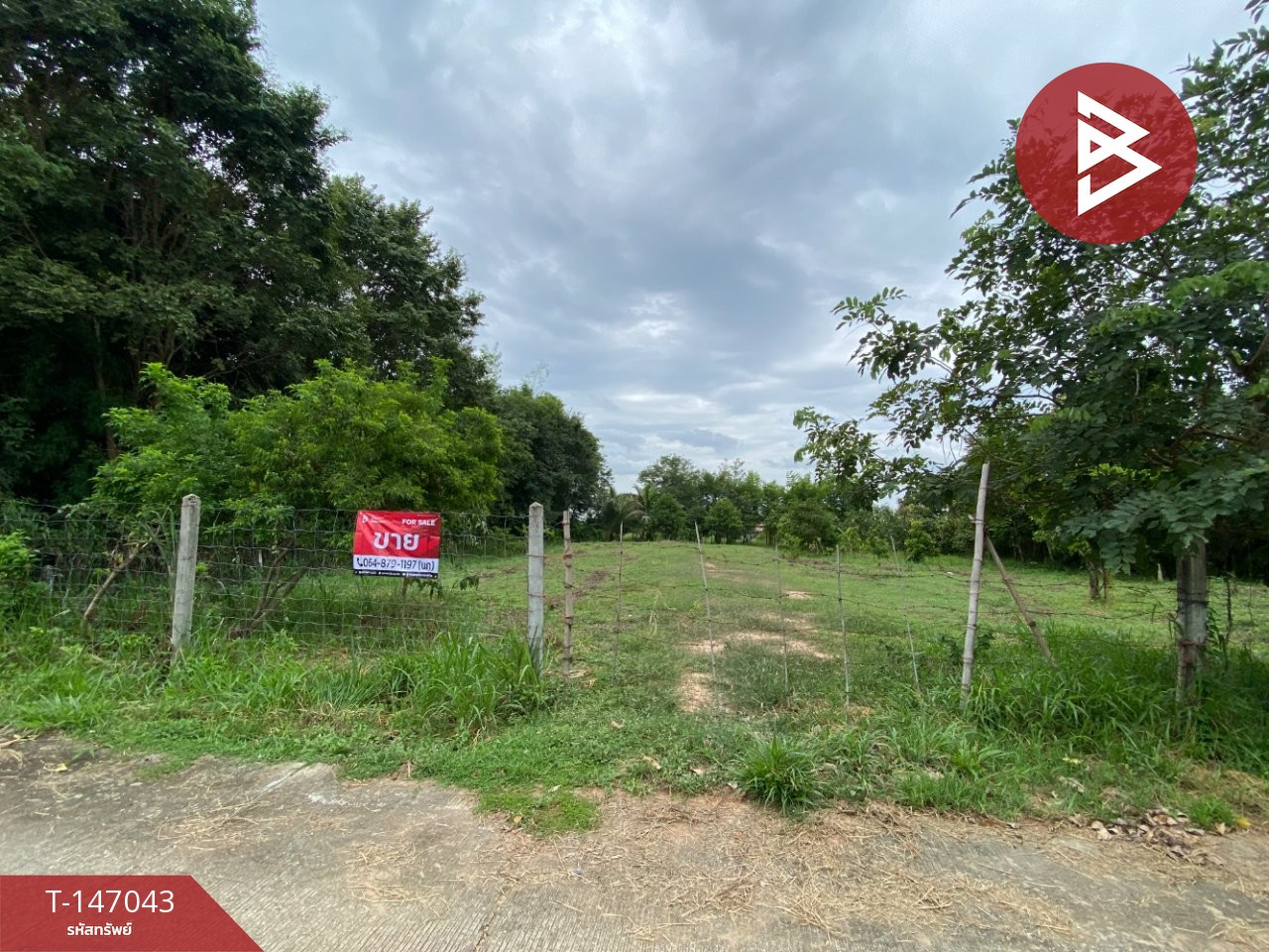 Beautiful land for sale, mixed fruit orchard, area 1 rai 1 ngan 10 sq m, Chiang Yuen, Maha Sarakham. Beautiful land for sale, mixed fruit orchard, area 1 rai 1 ngan 10 sq m, Chiang Yuen, Maha Sarakham.
