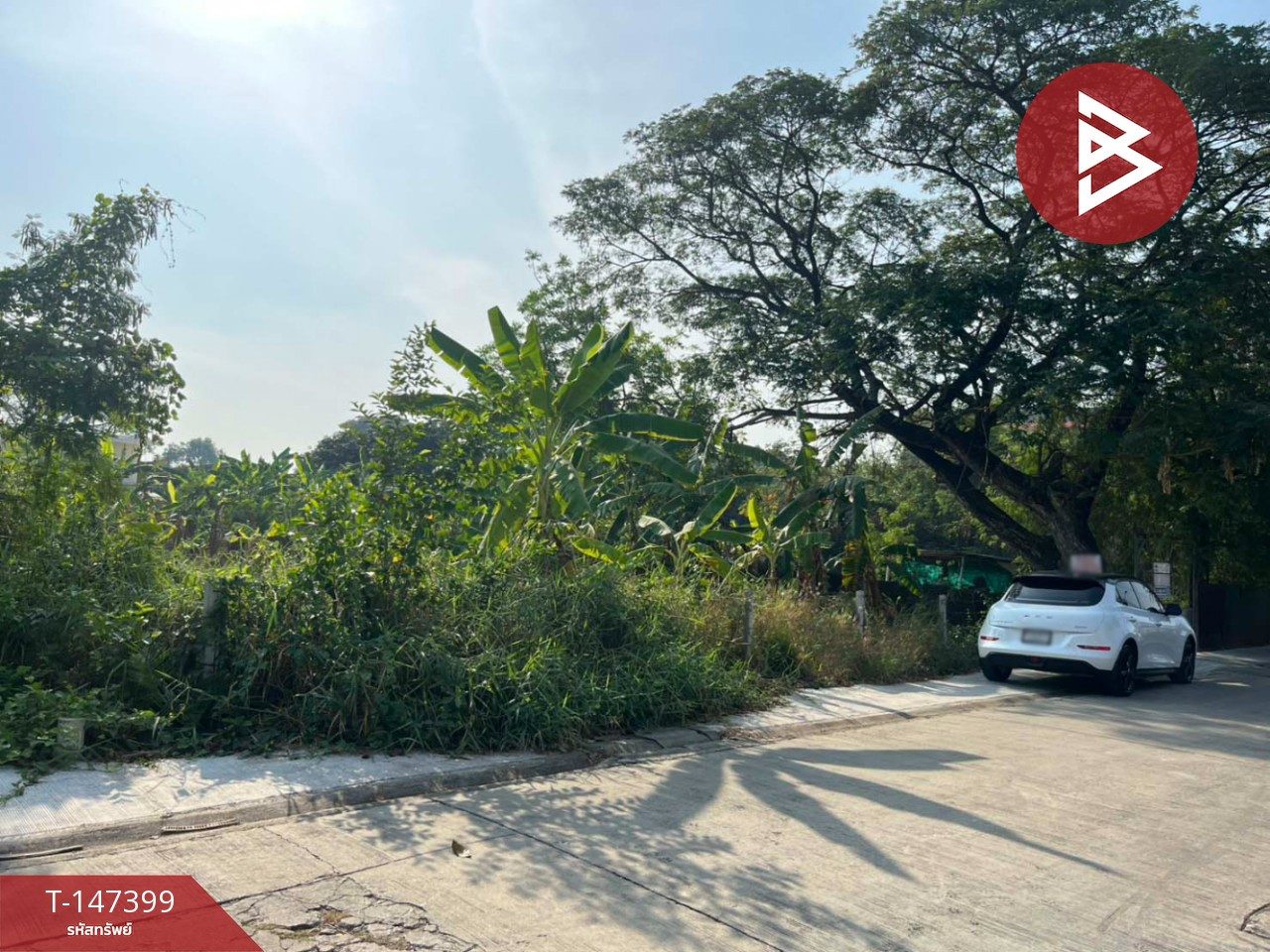 ขายที่ดิน เนื้อที่ 1 งาน 81 ตร.วา เพชรเกษม 77 หนองแขม กรุงเทพมหานคร ทำเลดี ขายที่ดิน เนื้อที่ 1 งาน 81 ตร.วา เพชรเกษม 77 หนองแขม กรุงเทพมหานคร ทำเลดี