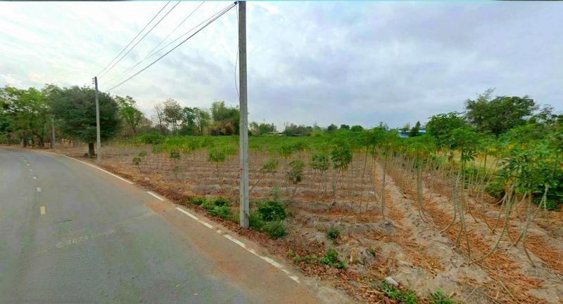 Divided for rent, 3 rai of land, view of cassava plantation. Near Phaisali School and Hospital, Phaisali District, Nakhon Sawan Province