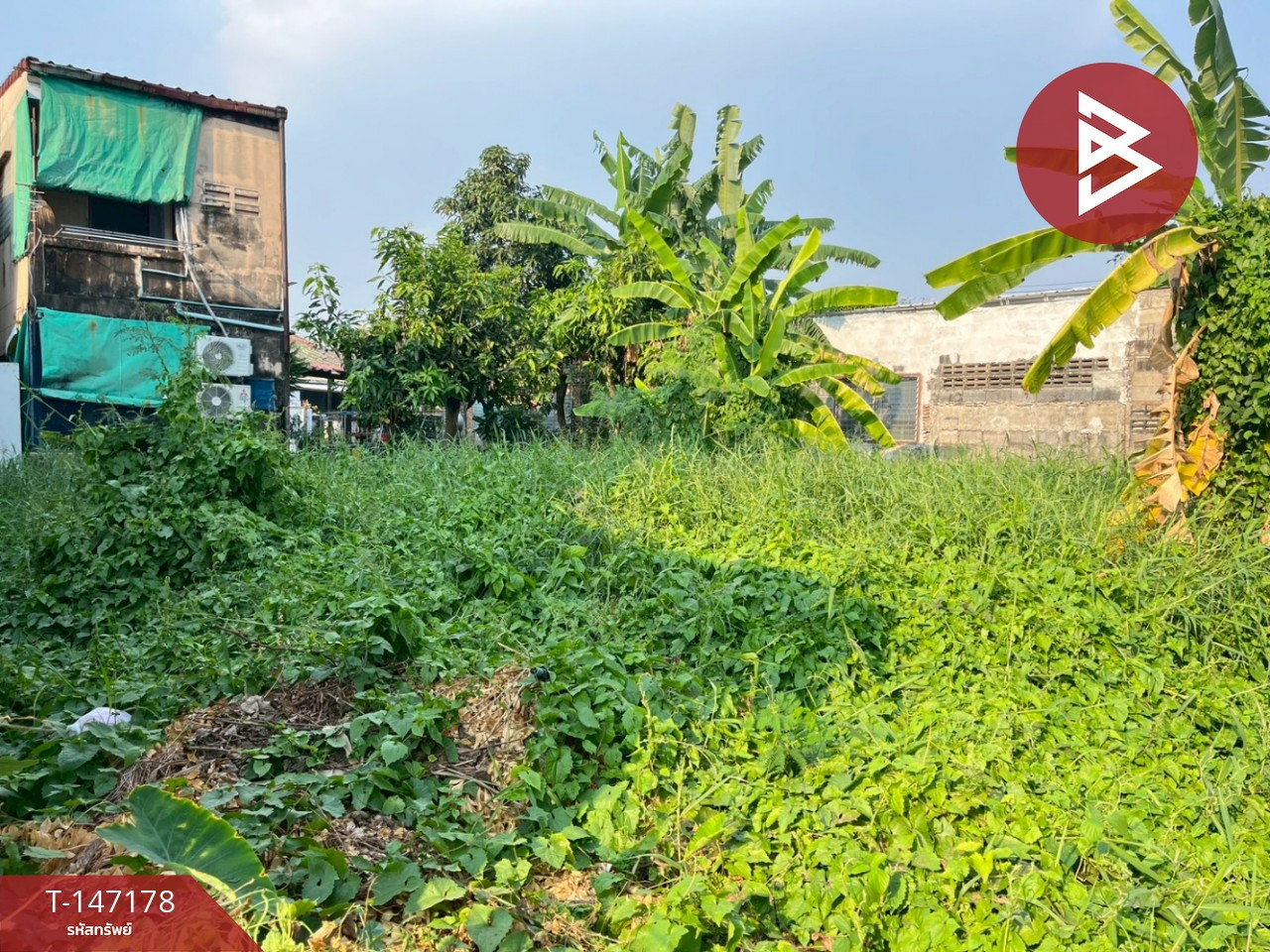 ขายที่ดิน เนื้อที่ 50.6 ตร.วา ปากน้ำ สมุทรปราการ – รูปที่ 2