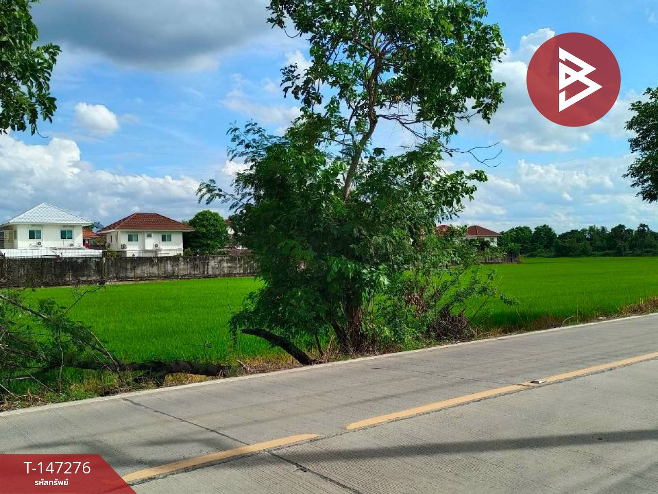 ขายที่ดินสวย 2 แปลง เนื้อที่รวม 11 ไร่ 62 ตร.วา ซอยเทศบาล 25 นนทบุรี ทำเลทองบางใหญ่-บางแม่นาง ขายที่ดินสวย 2 แปลง เนื้อที่รวม 11 ไร่ 62 ตร.วา ซอยเทศบาล 25 นนทบุรี ทำเลทองบางใหญ่-บางแม่นาง