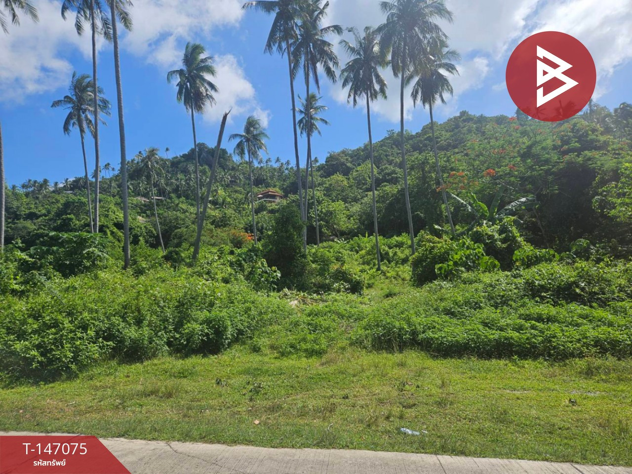 Land for sale, area 3 rai 3 ngan 63.5 sq m, Na Mueang Subdistrict, Koh Samui District, Surat Thani. – รูปที่ 3