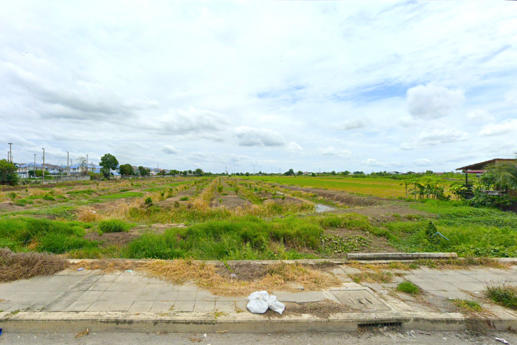 ขาย ที่ดิน ริมถนนบางกรวย - ไทรน้อย อ.ไทรน้อย 18 ไร่ เหมาะทำจัดสรร KK – รูปที่ 3