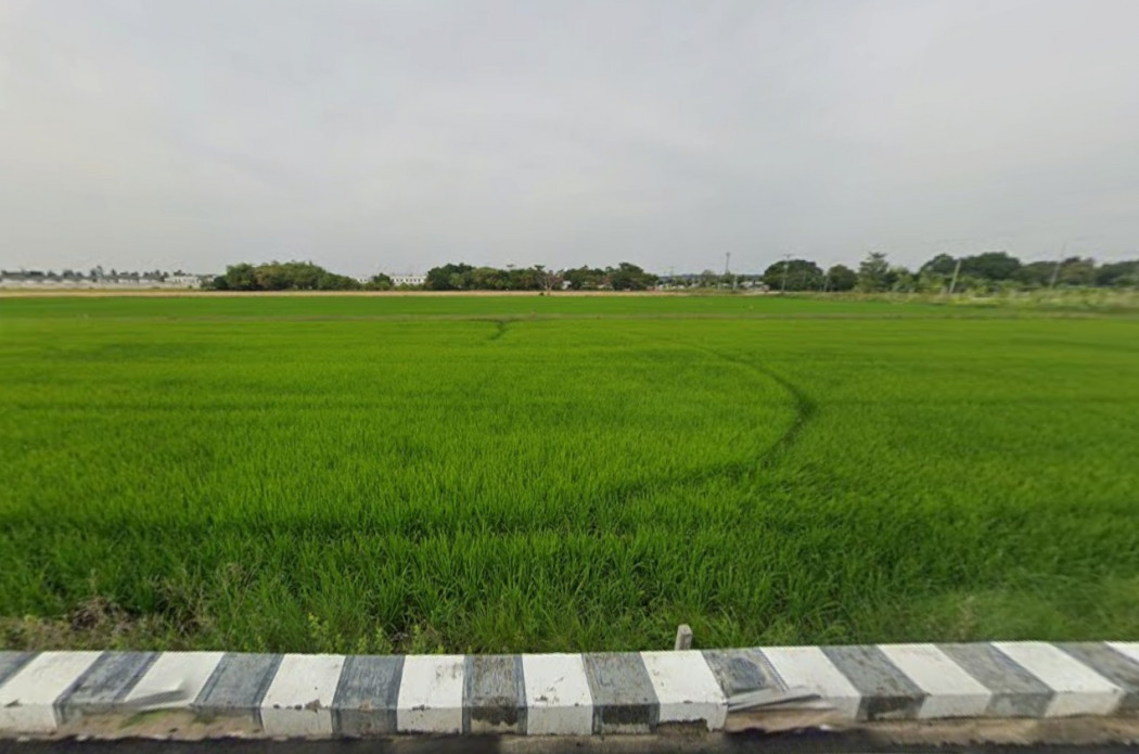 ขายที่ดินลำลูกกา เนื้อที่ 1 ไร่ 0 งาน 22.9 ตร.ว. ใกล้มหาวิทยาลัยอีสเทิร์นเอเชีย