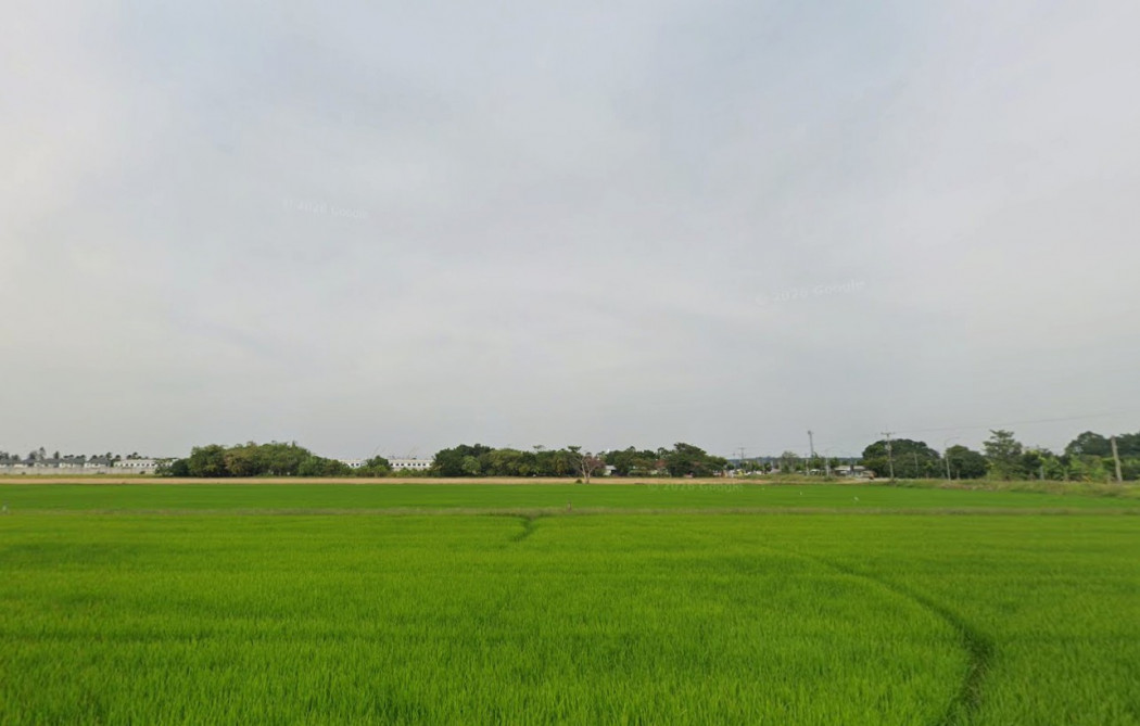 Land for Sale in Lam Luk Ka, 1 Rai 0 Ngan 22.9 Sq.wah, Near Eastern Asia University – รูปที่ 2