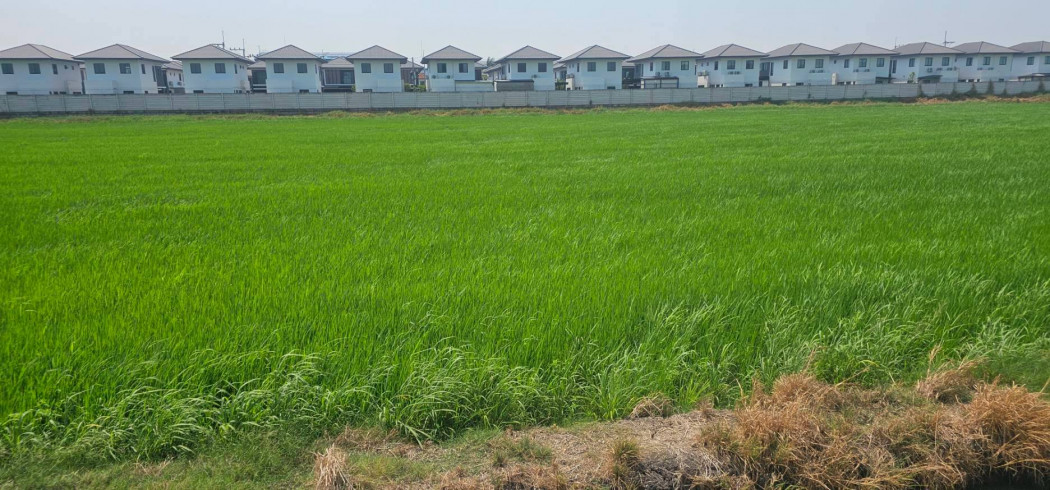 ขายที่ดิน เนื้อที่ 2 ไร่ 0 งาน 0 ตร.ว. ใกล้การไฟฟ้าส่วนภูมิภาคสาขาลำลูกกา