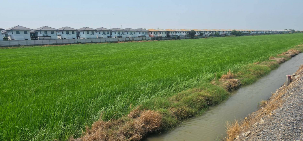 Land for Sale, size 2 Rai 0 Ngan 0 Sq.Wah, near Provincial Electricity Authority Lam Luk Ka Branch – รูปที่ 3