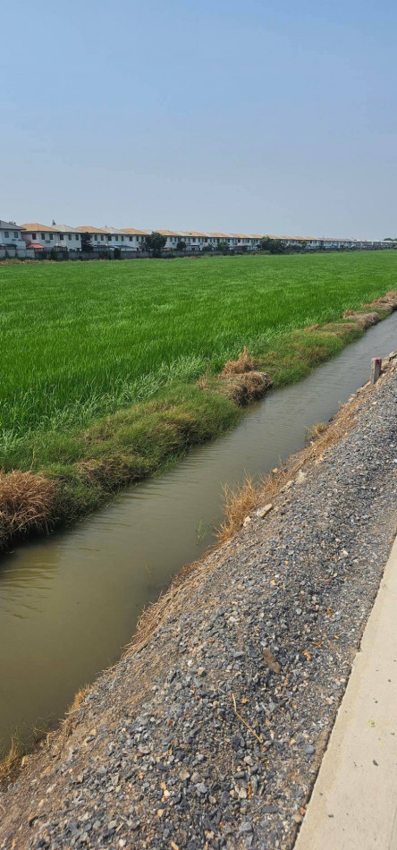 Land for Sale, size 2 Rai 0 Ngan 0 Sq.Wah, near Provincial Electricity Authority Lam Luk Ka Branch – รูปที่ 4