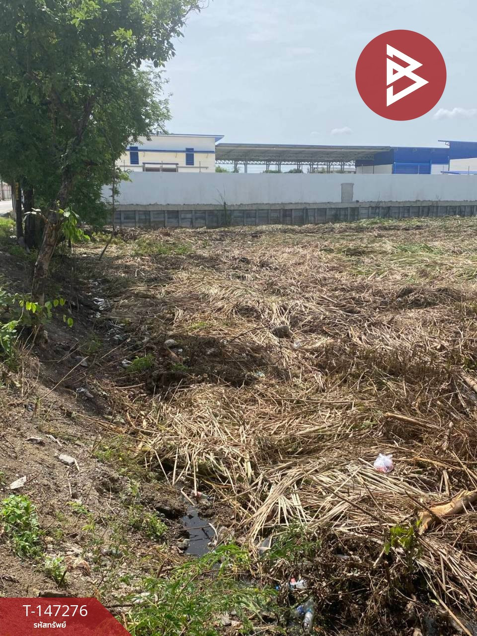 ขายที่ดินสวย 2 แปลง เนื้อที่รวม 11 ไร่ 62 ตร.วา ซอยเทศบาล 25 นนทบุรี ทำเลทองบางใหญ่-บางแม่นาง – รูปที่ 4