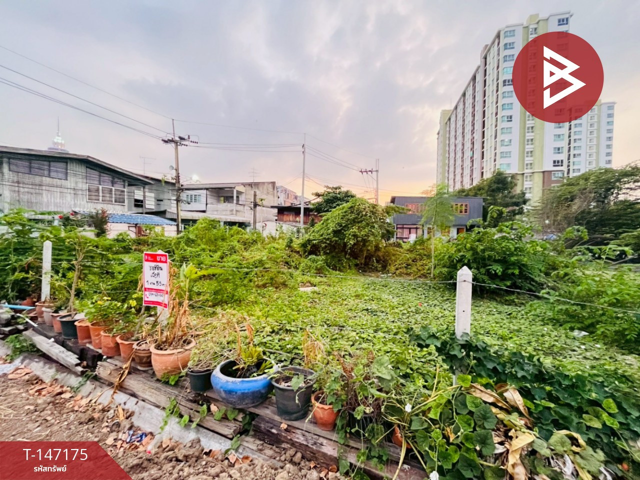 Land for sale, area 1 ngan 55 sq m, Pak Nam, Samut Prakan. – รูปที่ 3
