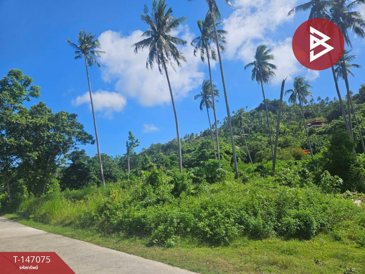 Land for sale, area 3 rai 3 ngan 63.5 sq m, Na Mueang Subdistrict, Koh Samui District, Surat Thani. Land for sale, area 3 rai 3 ngan 63.5 sq m, Na Mueang Subdistrict, Koh Samui District, Surat Thani.