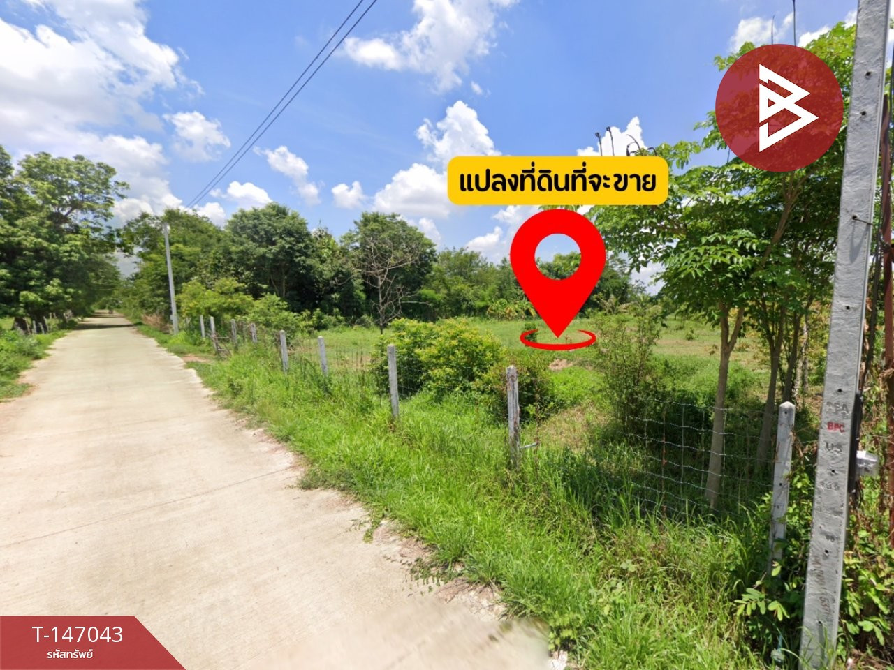 Beautiful land for sale, mixed fruit orchard, area 1 rai 1 ngan 10 sq m, Chiang Yuen, Maha Sarakham. – รูปที่ 4