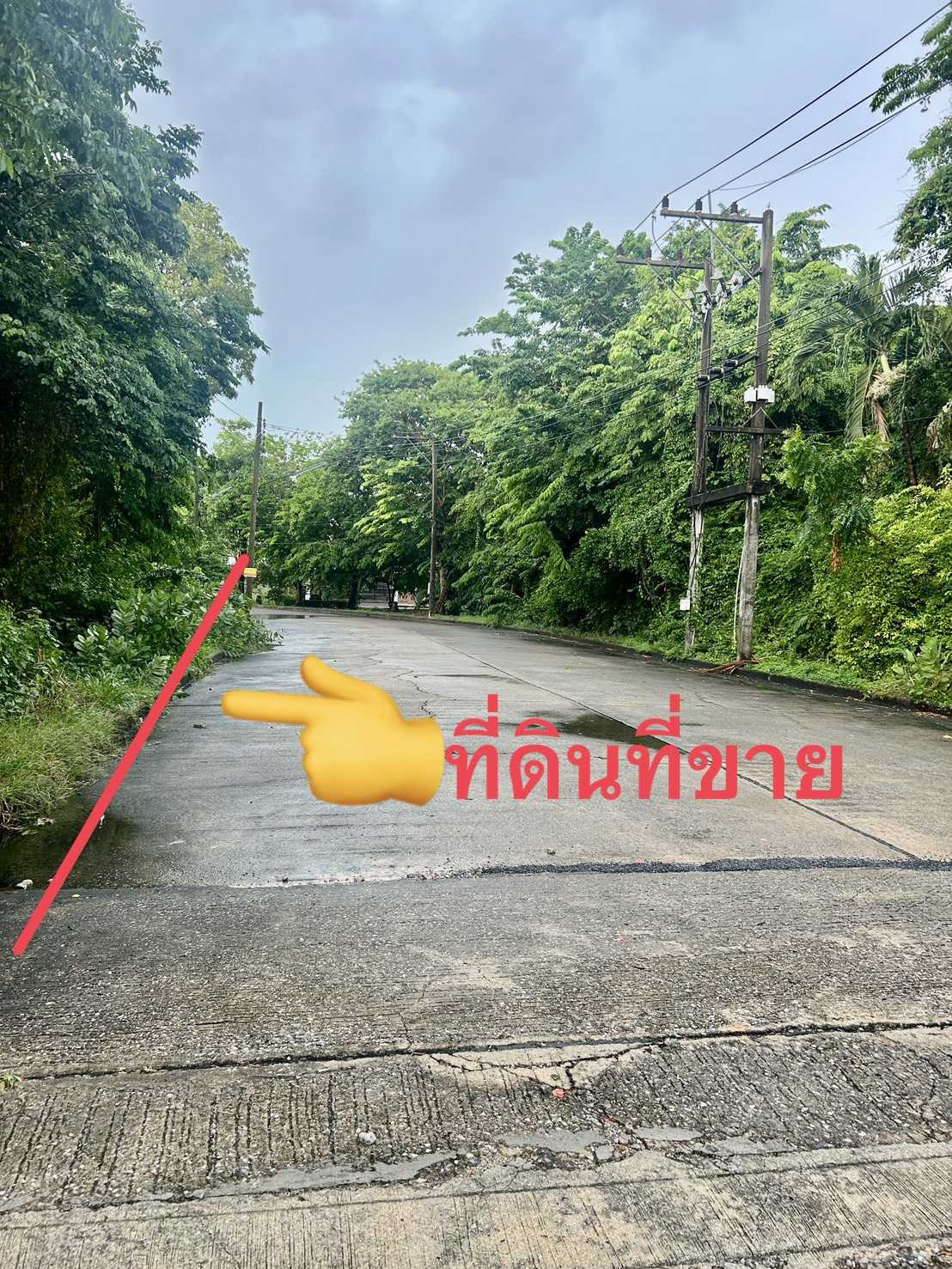 หมู่บ้านเลคการ์เด้นรังสิต – รูปที่ 3