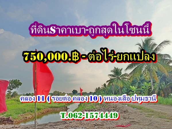 : August land for sale - lowest price, good value at Khlong 11, Nong Suea at Khlong 11, Nong Suea, Pathum Thani T.062-1574449 : August land for sale - lowest price, good value at Khlong 11, Nong Suea at Khlong 11, Nong Suea, Pathum Thani T.062-1574449