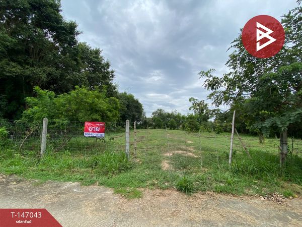 Beautiful land for sale, mixed fruit orchard, area 1 rai 1 ngan 10 sq m, Chiang Yuen, Maha Sarakham.