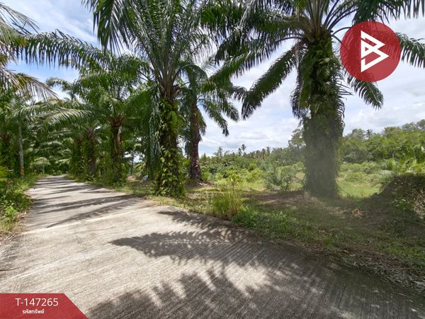 Land for sale, area 7 rai 1 ngan 80.1 sq m, Pak Phun, Nakhon Si Thammarat.
