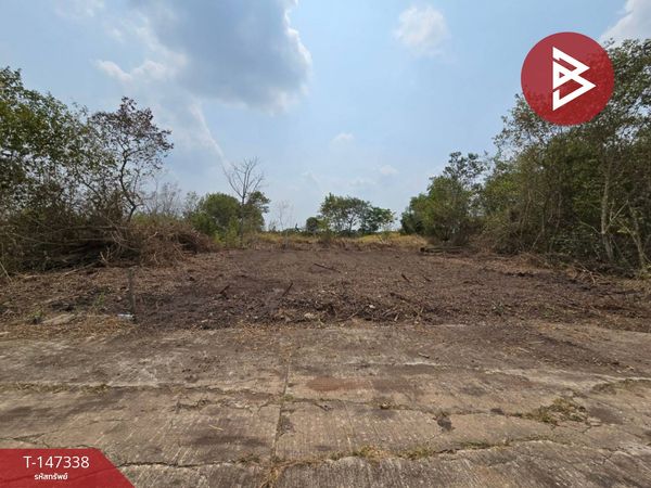 Land for sale, area 60 sq m, Khlong Luang, Pathum Thani.