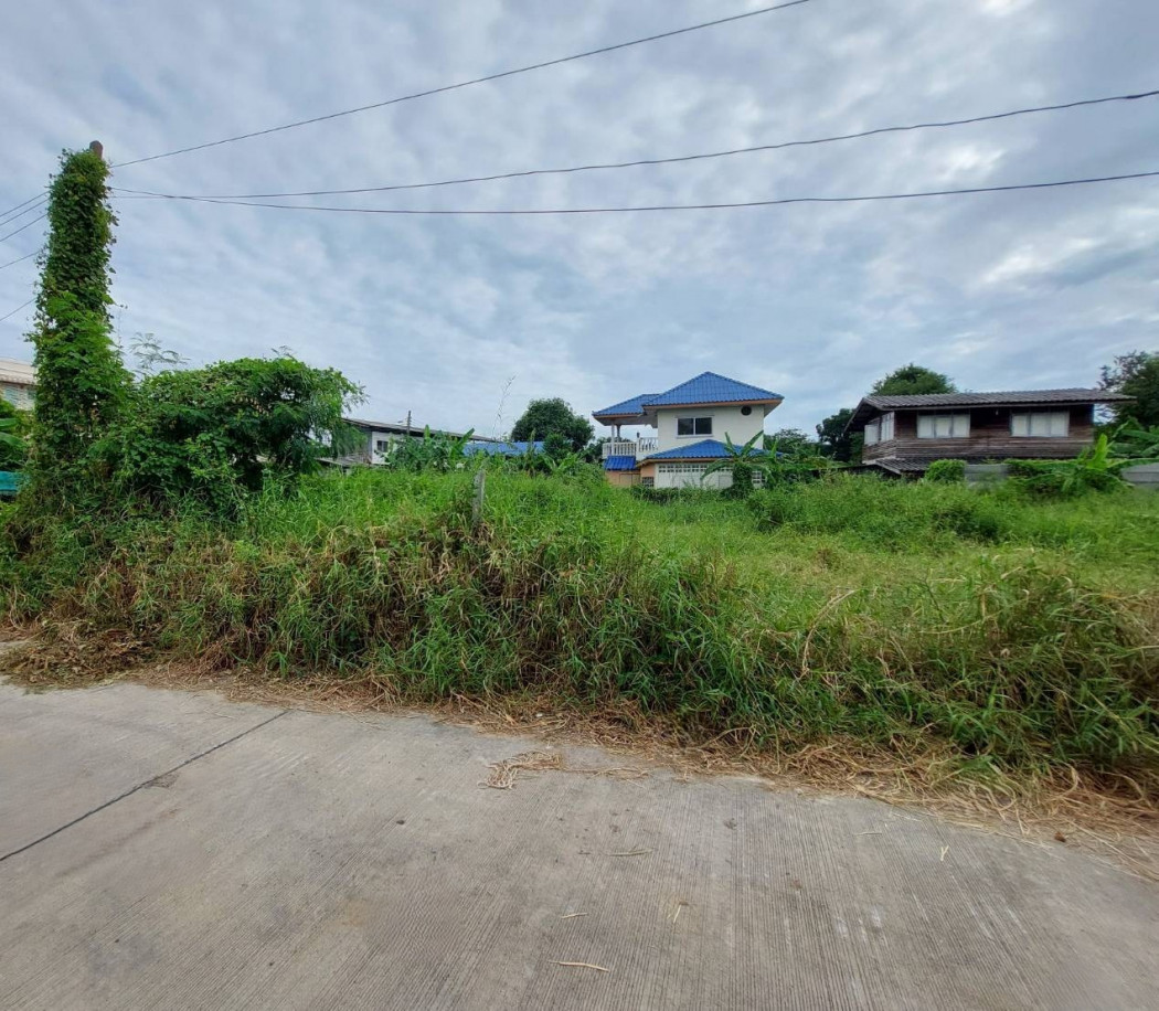 ขายที่ดิน เนื้อที่ 91 ตร.ว. ซอยอ่อนนุช 66 แยก 19-12-4 ใกล้สวนสาธารณะบึงหนองบอน